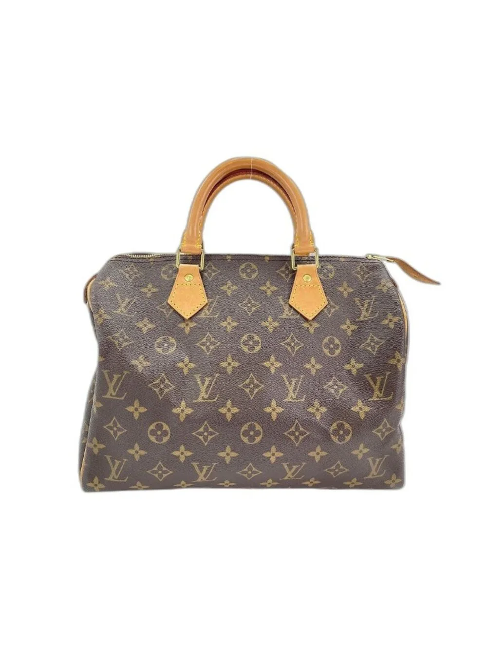 Louis Vuitton Handbag Speedy